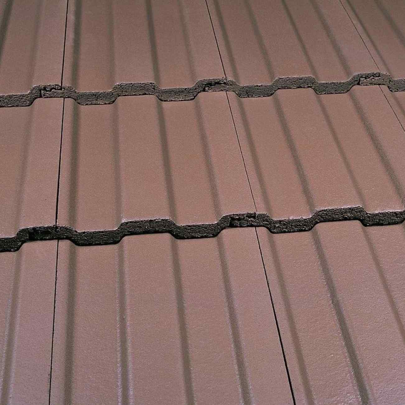 Smooth Brown